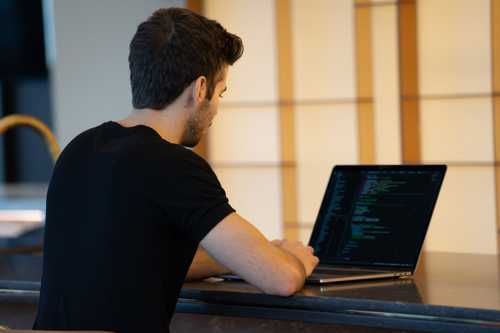 Do you really need a Dedicated Developer for Your eCommerce Project?